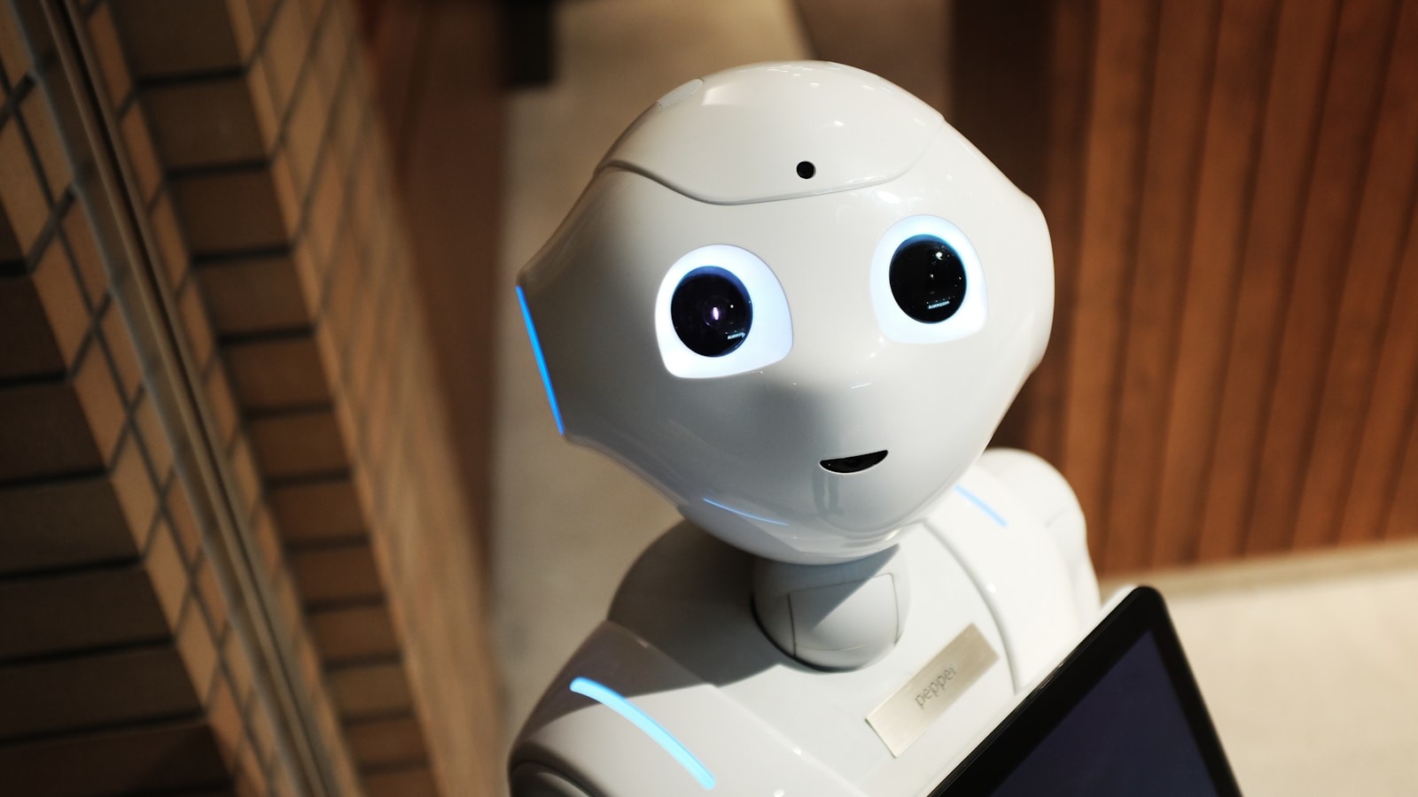 Robotics + AI